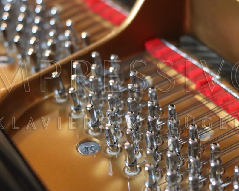 Mason Hamlin MHC170 Classic Series Độc quyền tại Impressivo