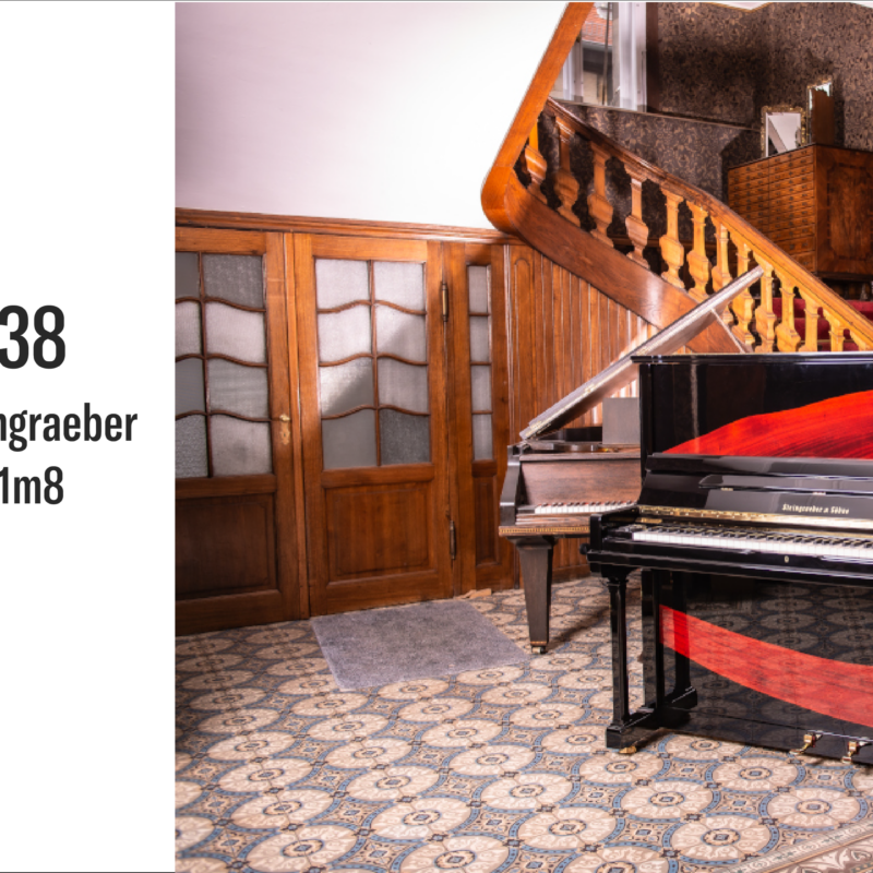 piano Steingraeber K138