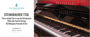 piano Steingraeber T130 4