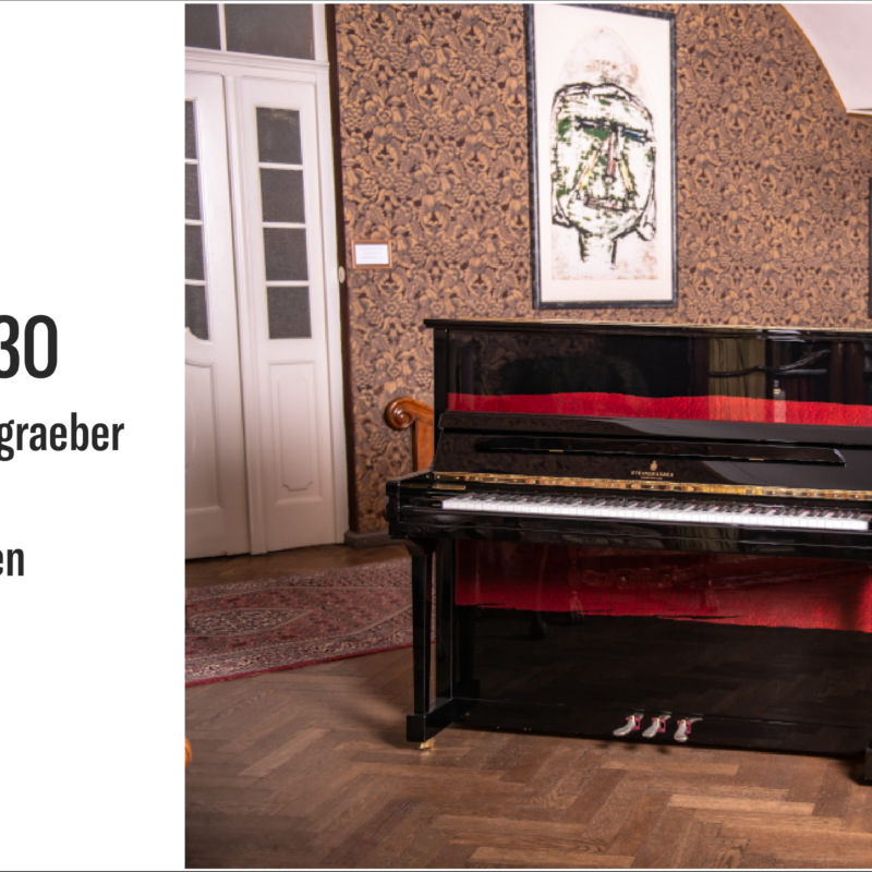 piano Steingraeber T130