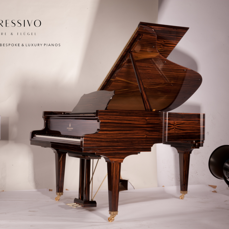 Impressivo Piano, 766/1 Sư Vạn Hạnh, 0755199990, piano luxury, Steingraeber Makassar