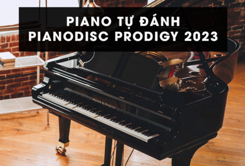 PIANO TỰ ĐÁNH, PIANO TỰ CHƠI, PIANODISC PRODIGY 2023