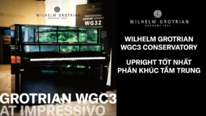 Wilhelm Grotrian WGC3 5