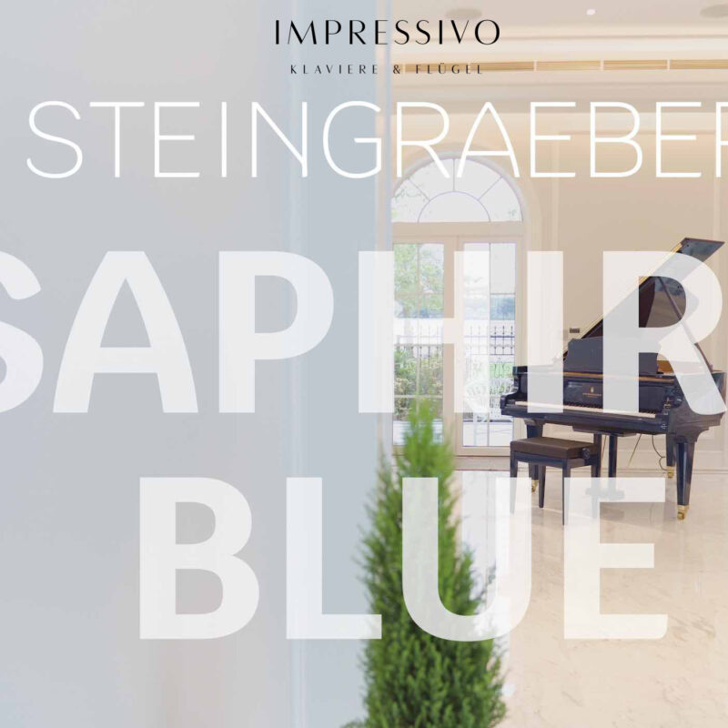 Steingraeber Blue