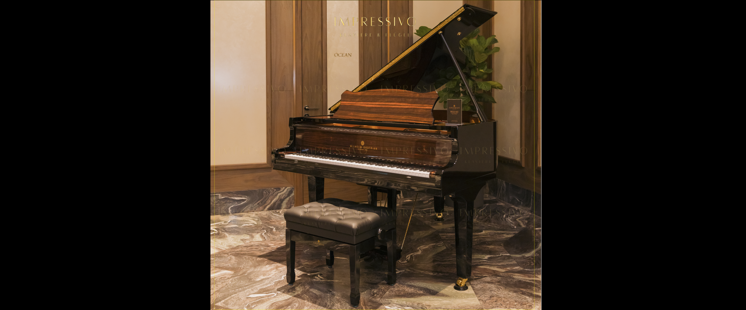 piano Grotrian WGS165AR