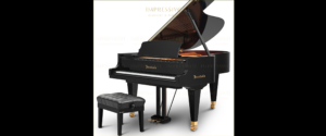 Bosendorfer 200