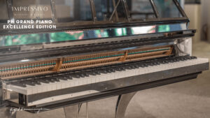 PH Grand Piano, PH Excellence, PH CRYSTAL PIANO, PH PIANO