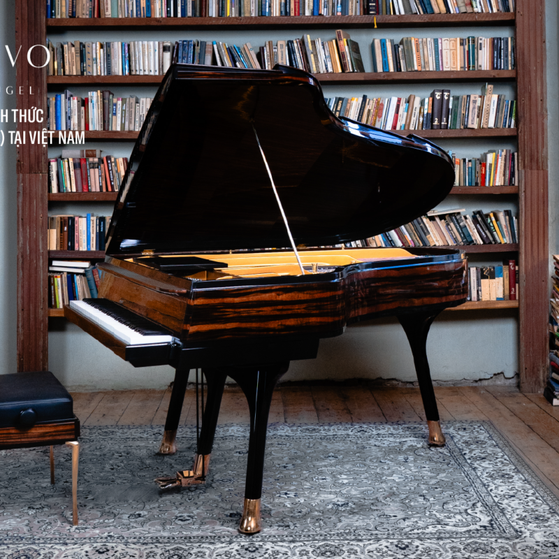 PH Bow Grand Piano 10